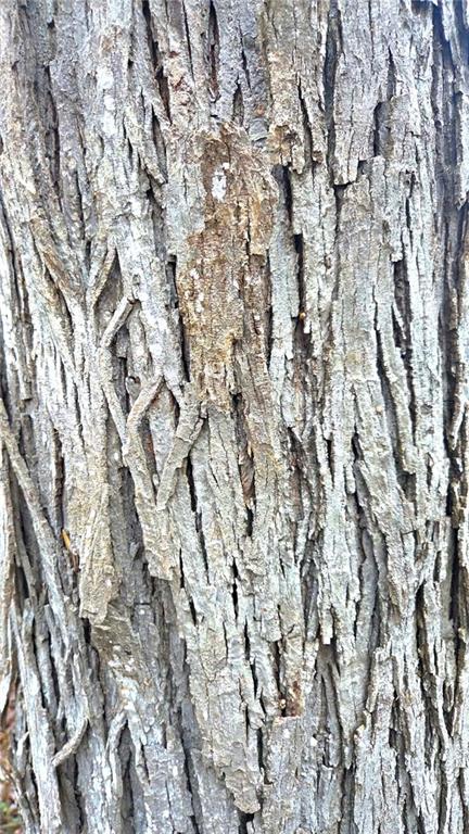 12156 Ellis Road Centerville, KS 66014 - Photo 45 of 74