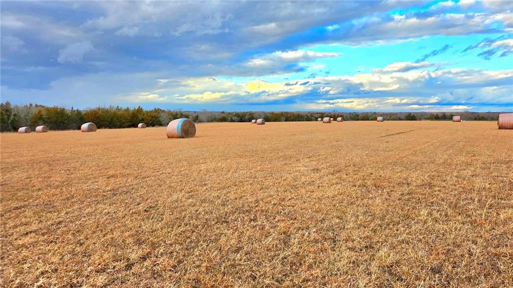 12156 Ellis Road Centerville, KS 66014 - Photo 46 of 74