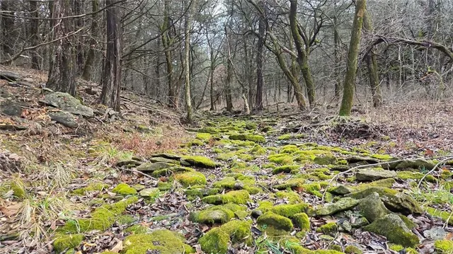 $229,900 | 12156 Ellis Road, Centerville, KS 66014