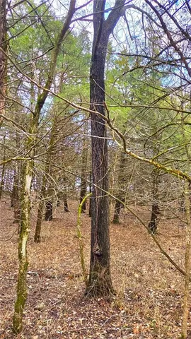 $229,900 | 12156 Ellis Road, Centerville, KS 66014