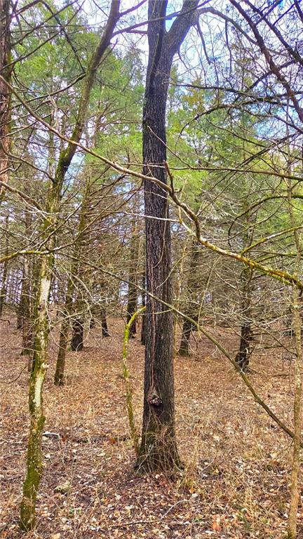 12156 Ellis Road Centerville, KS 66014 - Photo 50 of 74