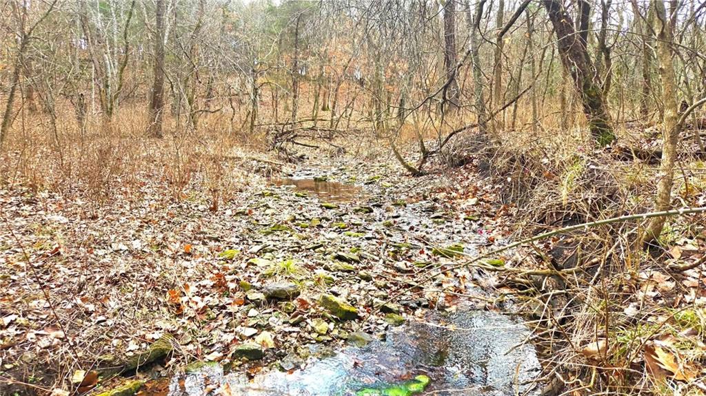 12156 Ellis Road Centerville, KS 66014 - Photo 5 of 74