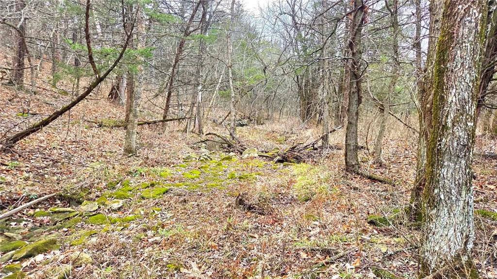 12156 Ellis Road Centerville, KS 66014 - Photo 51 of 74