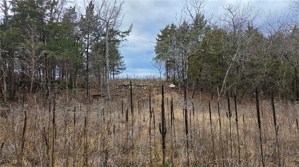 12156 Ellis Road Centerville, KS 66014 - Photo 52 of 74