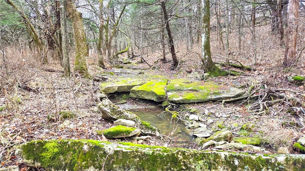 12156 Ellis Road Centerville, KS 66014 - Photo 53 of 74