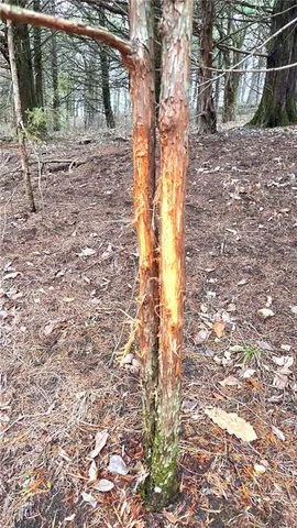 $229,900 | 12156 Ellis Road, Centerville, KS 66014