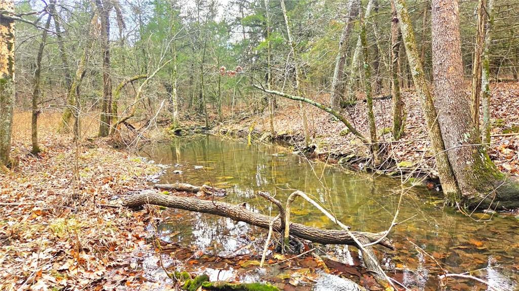 12156 Ellis Road Centerville, KS 66014 - Photo 58 of 74