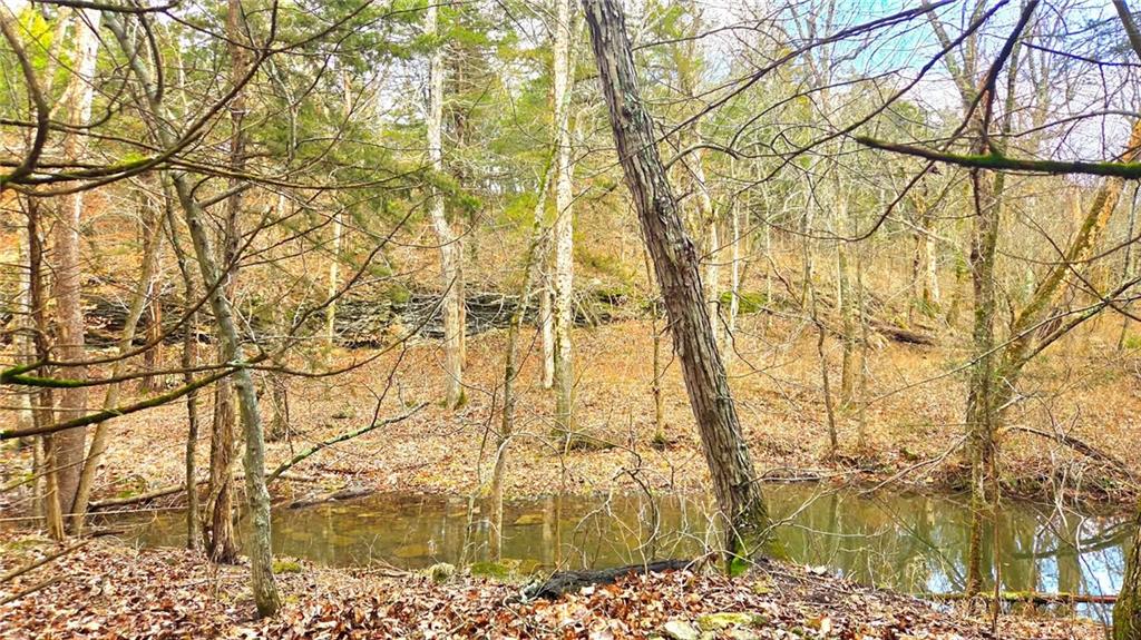 12156 Ellis Road Centerville, KS 66014 - Photo 60 of 74