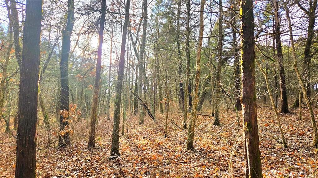 12156 Ellis Road Centerville, KS 66014 - Photo 62 of 74