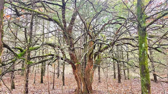 $229,900 | 12156 Ellis Road, Centerville, KS 66014