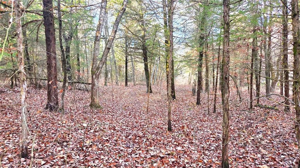 12156 Ellis Road Centerville, KS 66014 - Photo 65 of 74