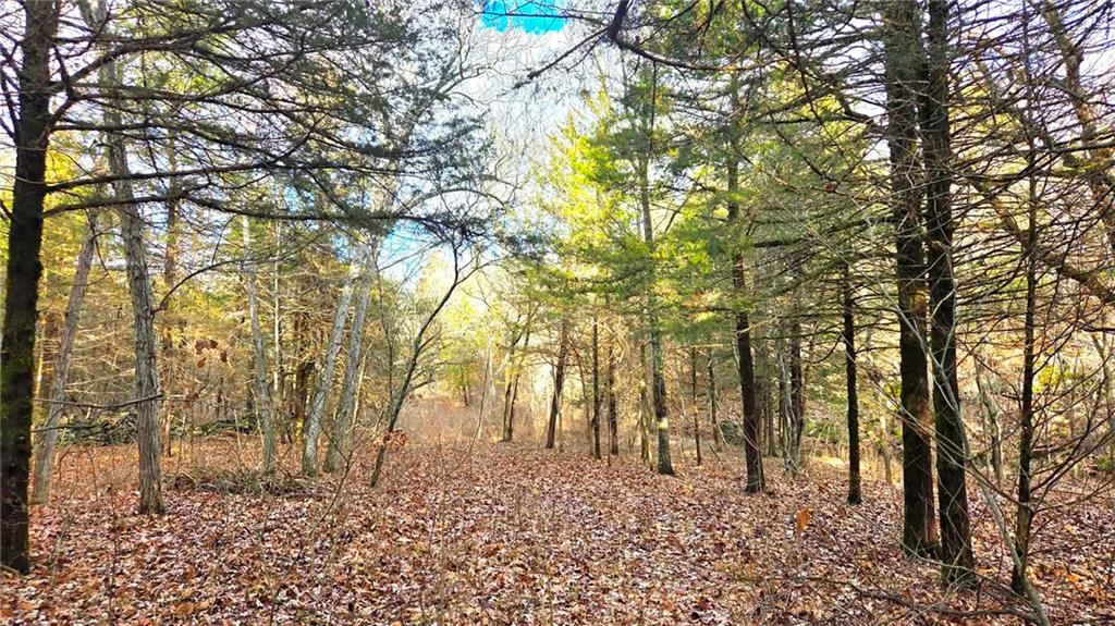 12156 Ellis Road Centerville, KS 66014 - Photo 66 of 74