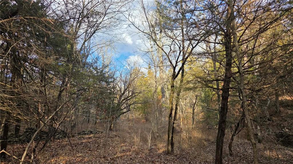 12156 Ellis Road Centerville, KS 66014 - Photo 67 of 74