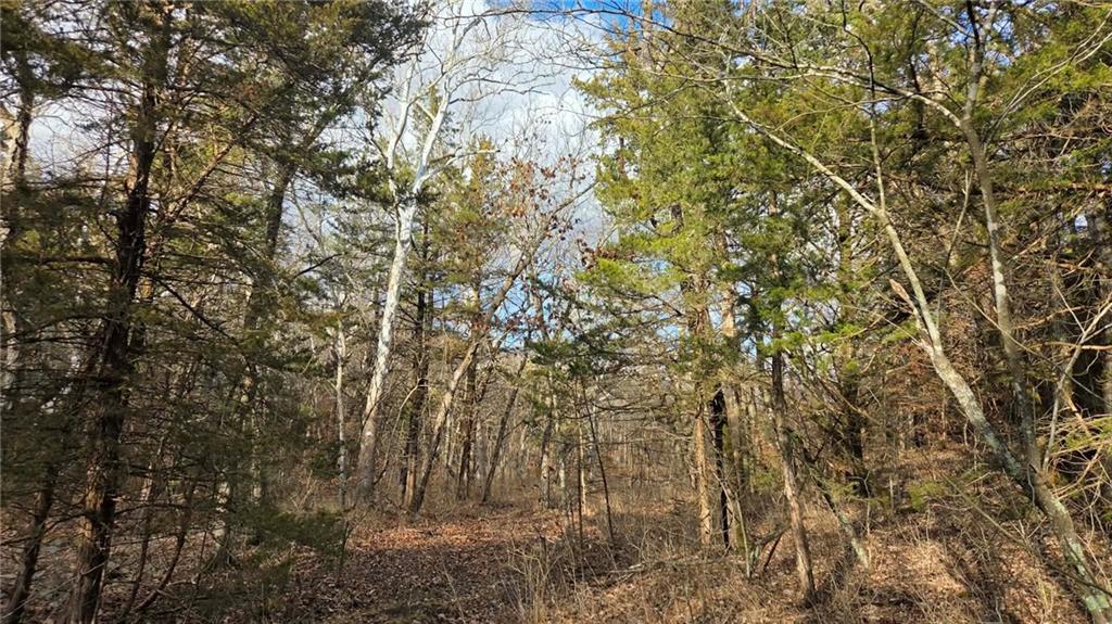 12156 Ellis Road Centerville, KS 66014 - Photo 68 of 74