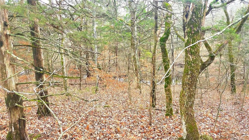 12156 Ellis Road Centerville, KS 66014 - Photo 7 of 74