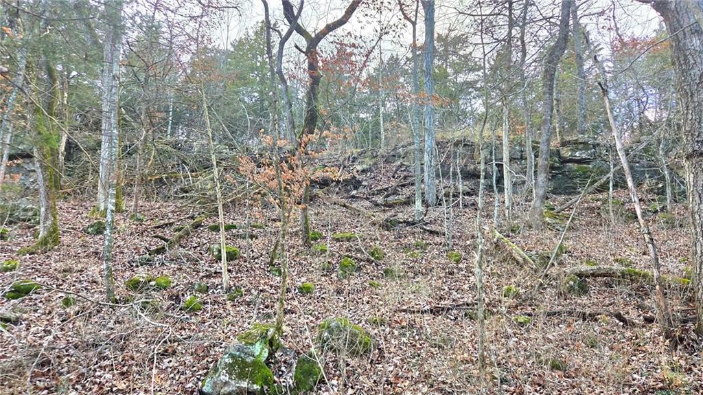 12156 Ellis Road Centerville, KS 66014 - Photo 72 of 74