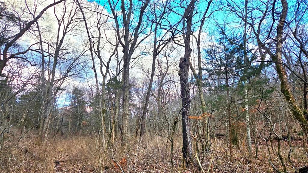 12156 Ellis Road Centerville, KS 66014 - Photo 73 of 74