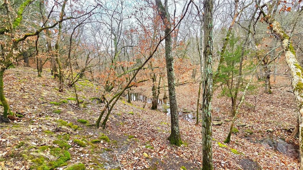 12156 Ellis Road Centerville, KS 66014 - Photo 8 of 74