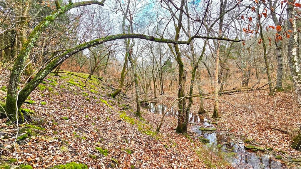 12156 Ellis Road Centerville, KS 66014 - Photo 9 of 74