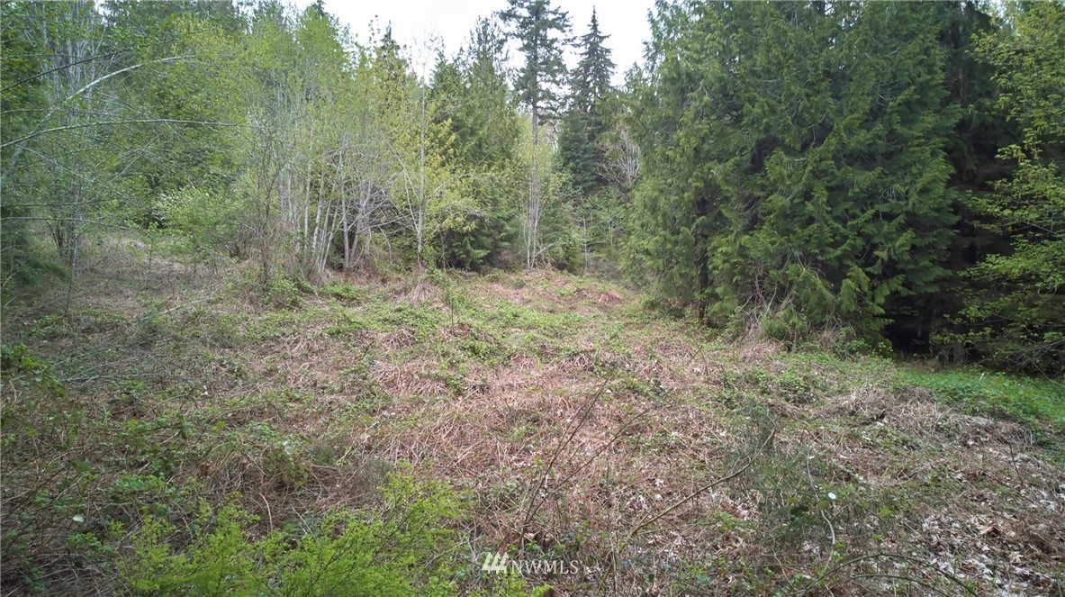 11014 Olalla Valley Road Southeast Olalla, WA 98359 - Photo 5 of 8 Gallery Image 5
