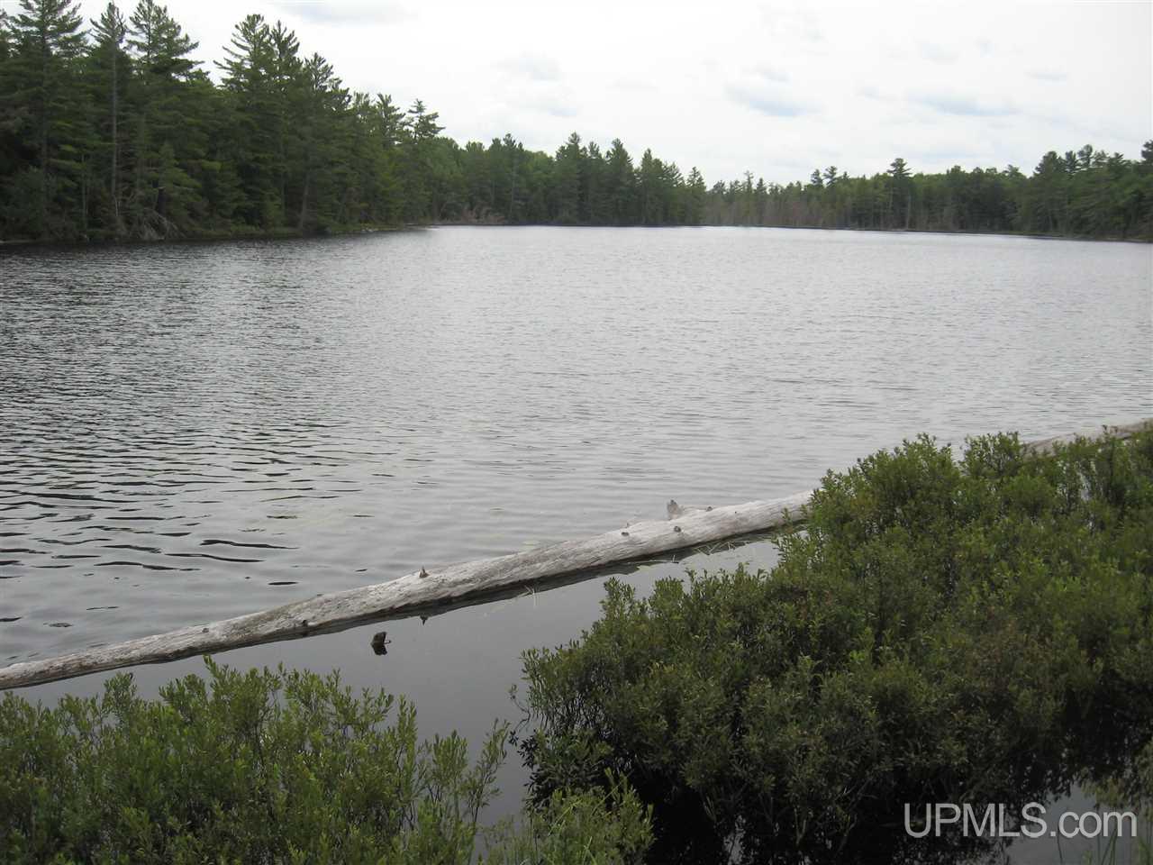 0 Rhody Cr, Unit CARTER LAKE RDP Seney, MI 49883 - Photo 32 of 36
