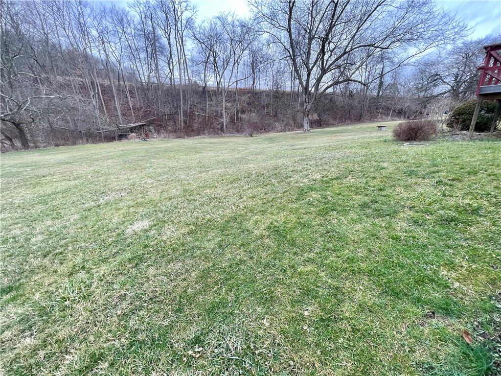1305 Old State Road Apollo, PA 15613 - Photo 31 of 35 a view of a backyard with large trees