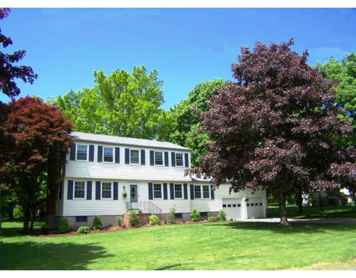 245 Holt Road Andover, MA 01810 - Photo 1 of 1 a front view of a house with a garden