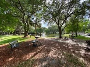 a view of a park with large trees
