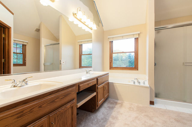 3087 Wagner Road Aurora, IL 60502 - Photo 15 of 20 a spacious bathroom with a tub sink and mirror