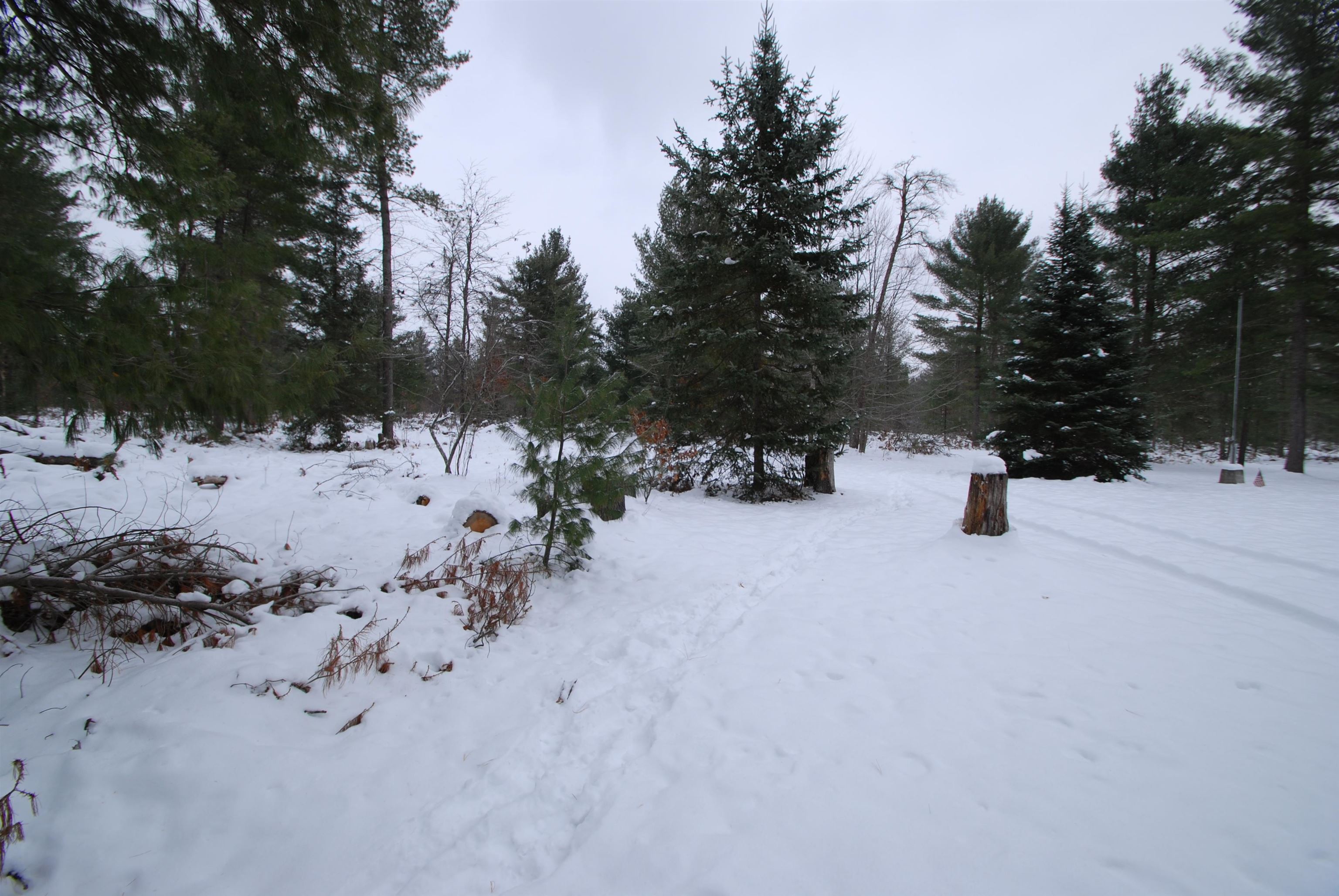 57 East Boehm Road West Branch, MI 48661 - Photo 41 of 49