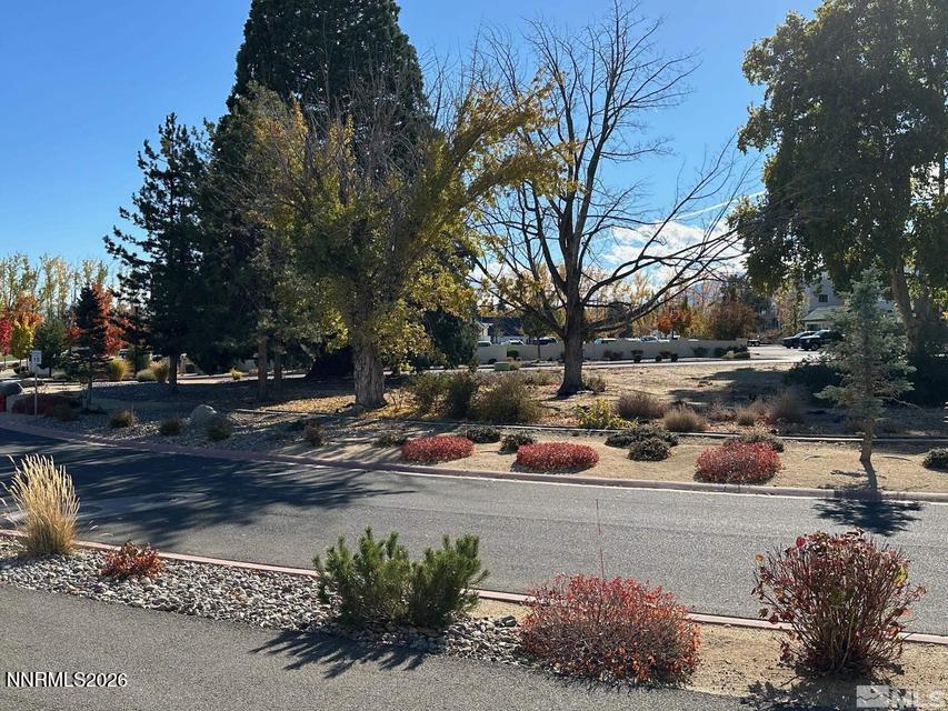 5545 Western Rider Trail Reno, NV 89511 - Photo 34 of 37 a view of a street with flower plants