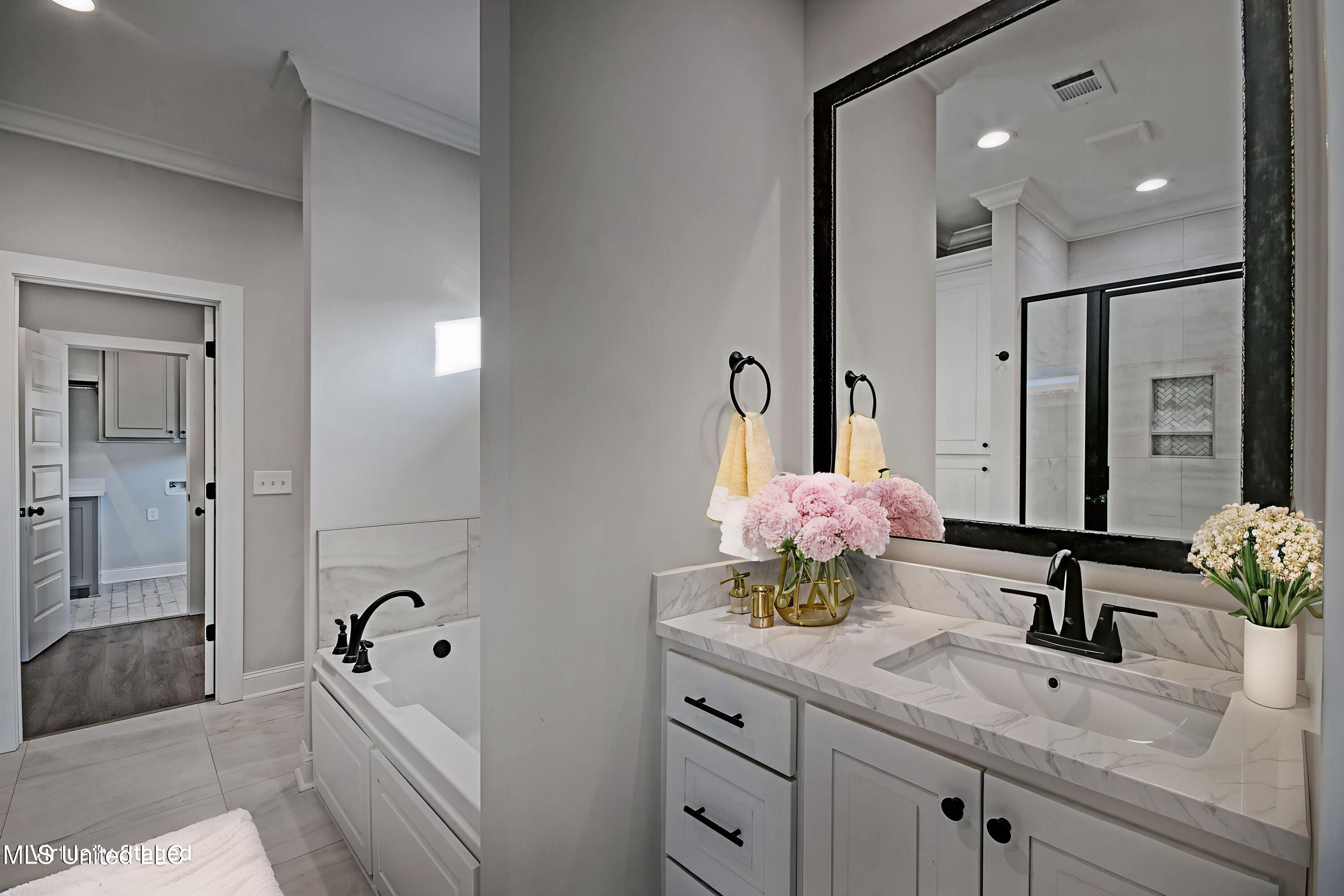 341 Willow Way Canton, MS 39046 - Photo 15 of 38 IMGP6783_4_5 - Bathroom - Luxury -no log