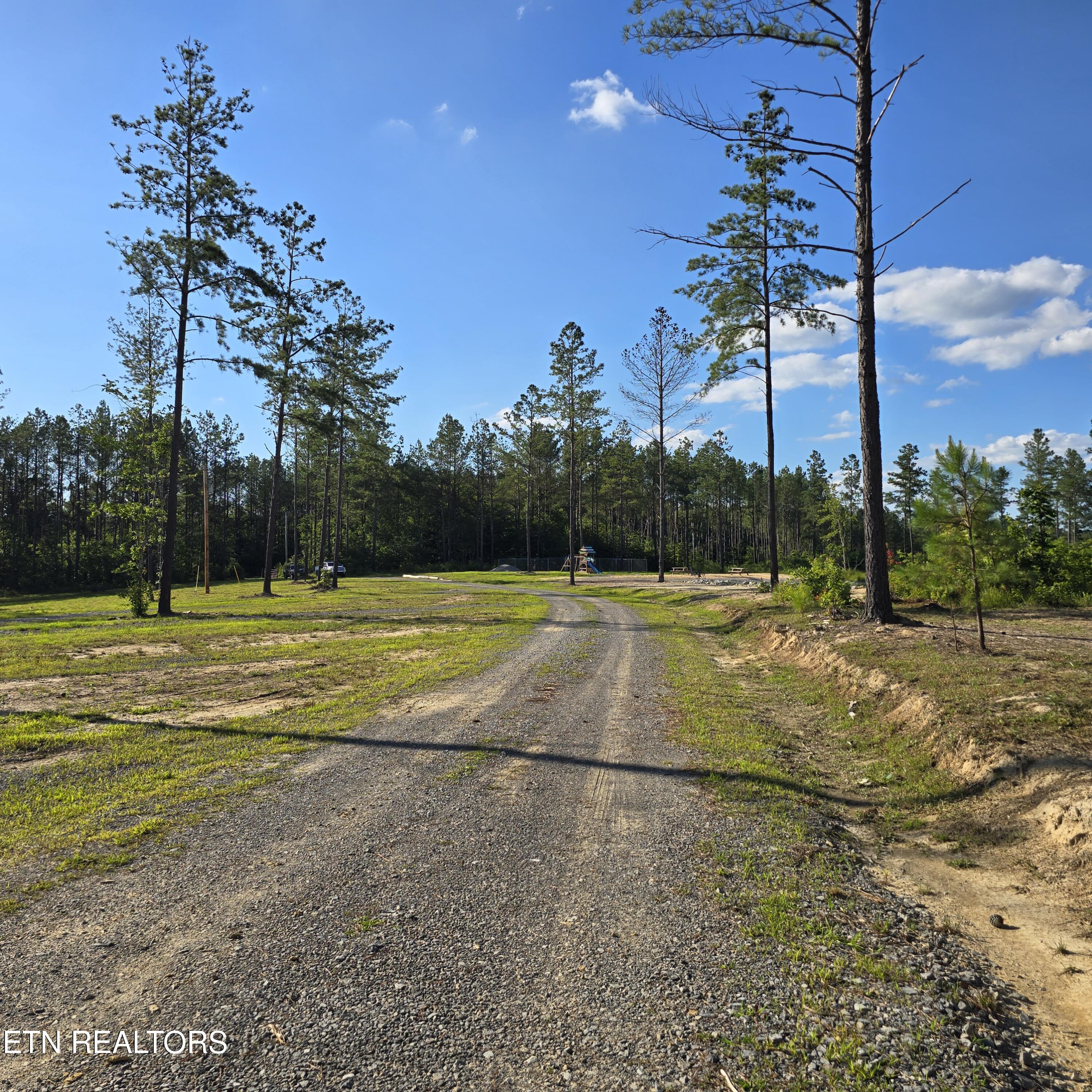 15-ac Red Hill Road Sunbright, TN 37872 - Photo 56 of 57 20260620_183058
