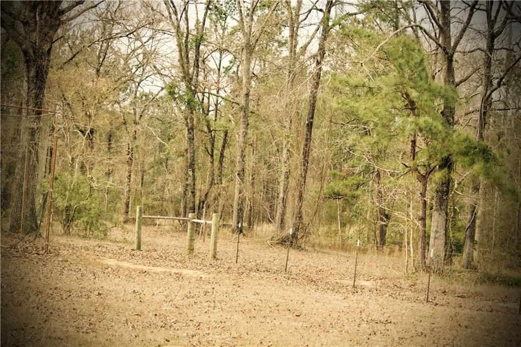 47 Baum Road Ball, LA 71405 - Photo 8 of 24 Gallery Image 8