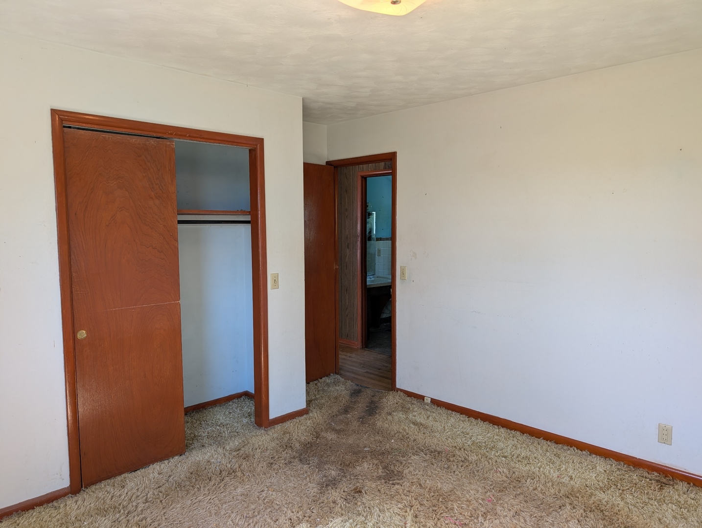 3344 148th Avenue Lynn Center, IL 61262 - Photo 12 of 28