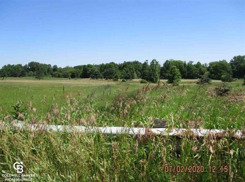 0 Belle River Road Memphis, MI 48041 - Photo 4 of 8
