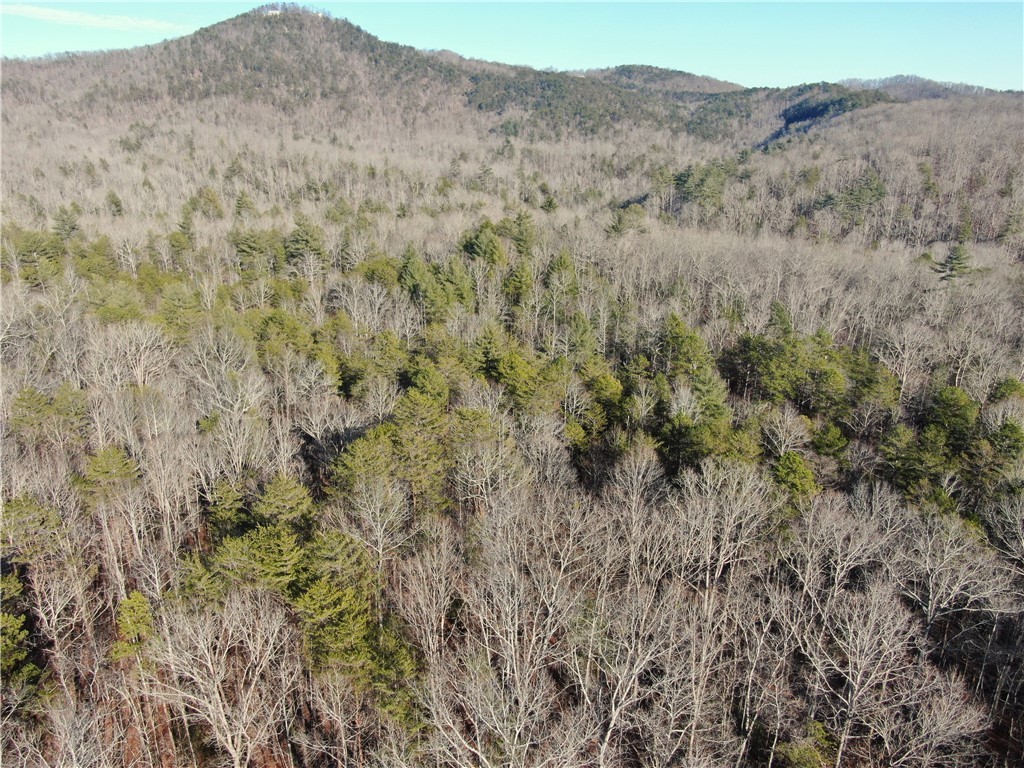 0 Little Eastatoee Road Sunset, SC 29685 - Photo 15 of 28 Gallery Image 15