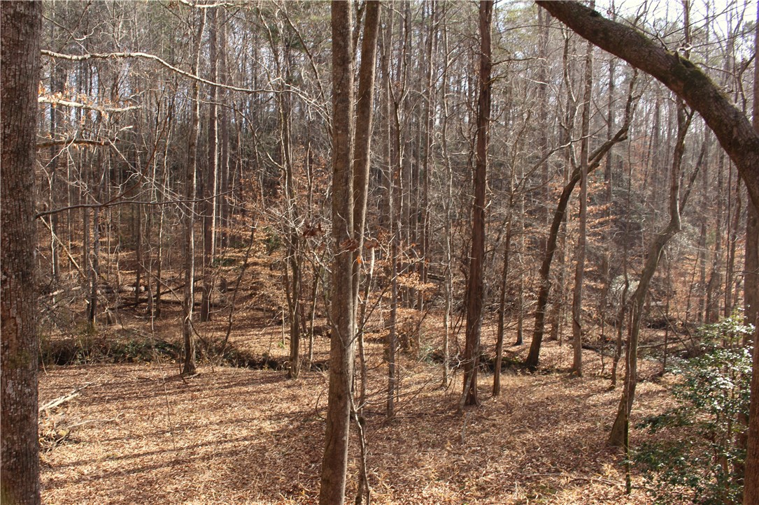 0 Little Eastatoee Road Sunset, SC 29685 - Photo 10 of 28 Gallery Image 10