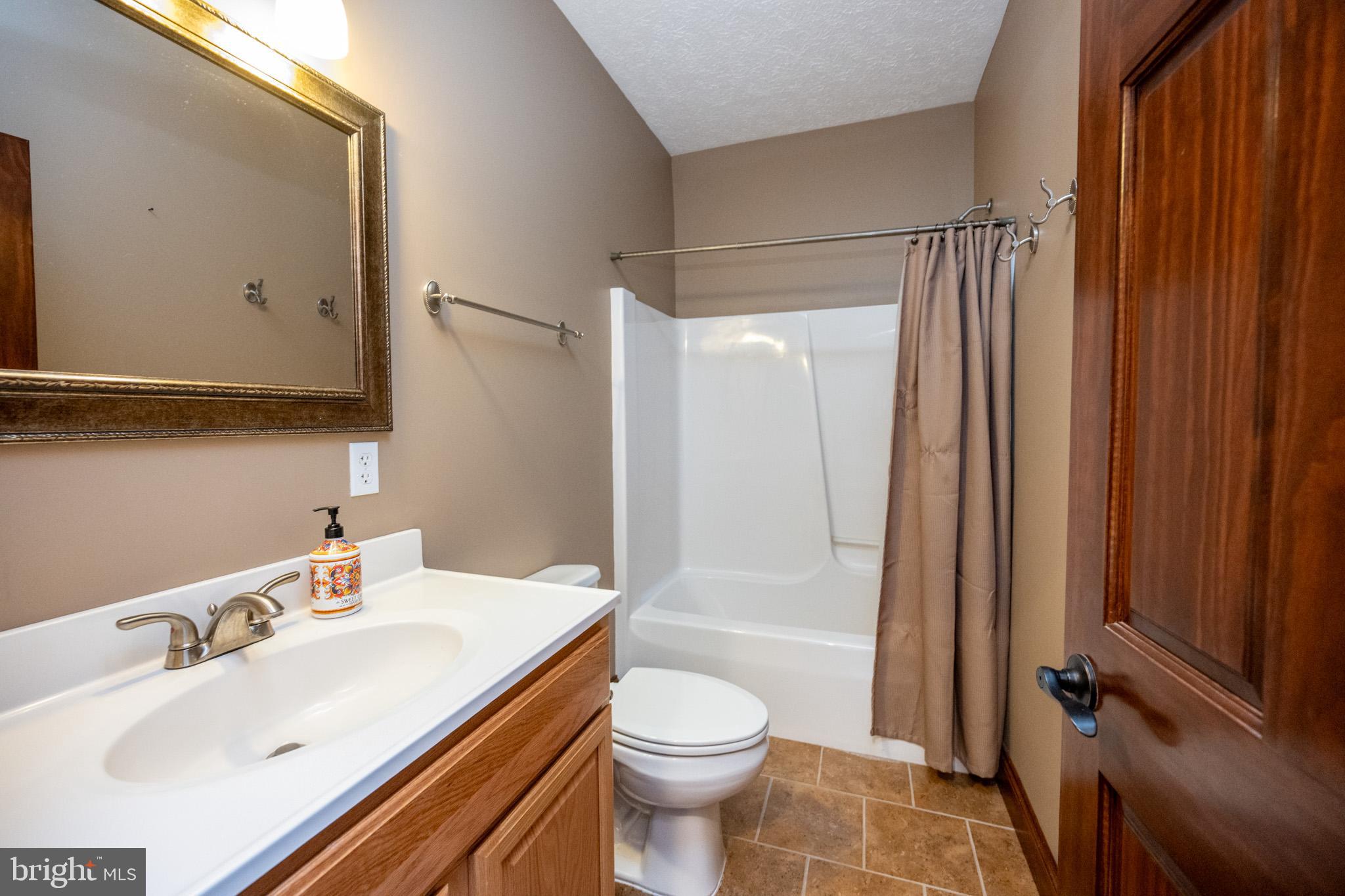 1909 Pysell Crosscut Road Oakland, MD 21550 - Photo 65 of 82 Lower level bathroom