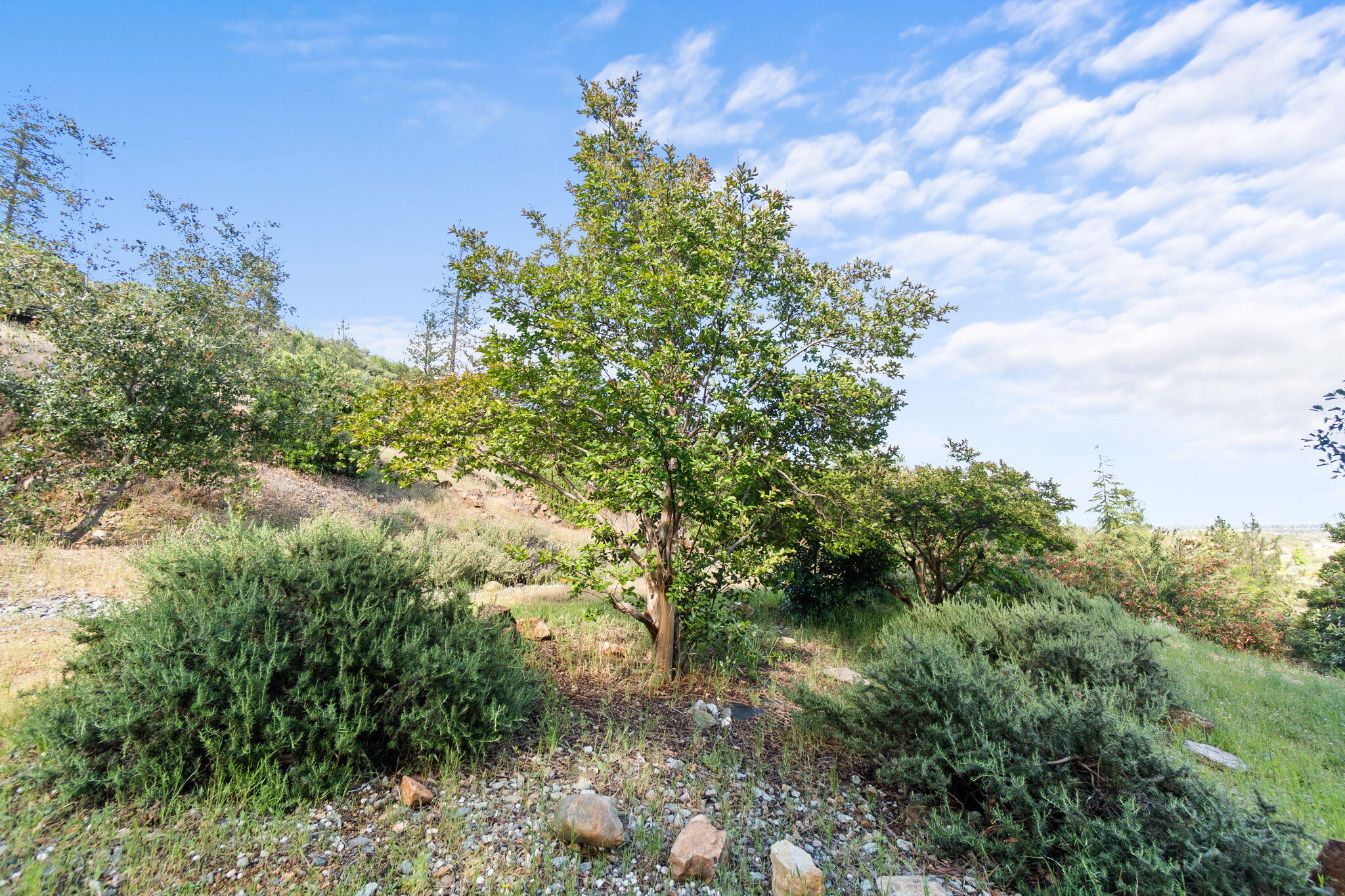 15754 Rock Creek Road Redding, CA 96001 - Photo 53 of 64 60-web-or-mls-BiggerFlow Real Estate Med
