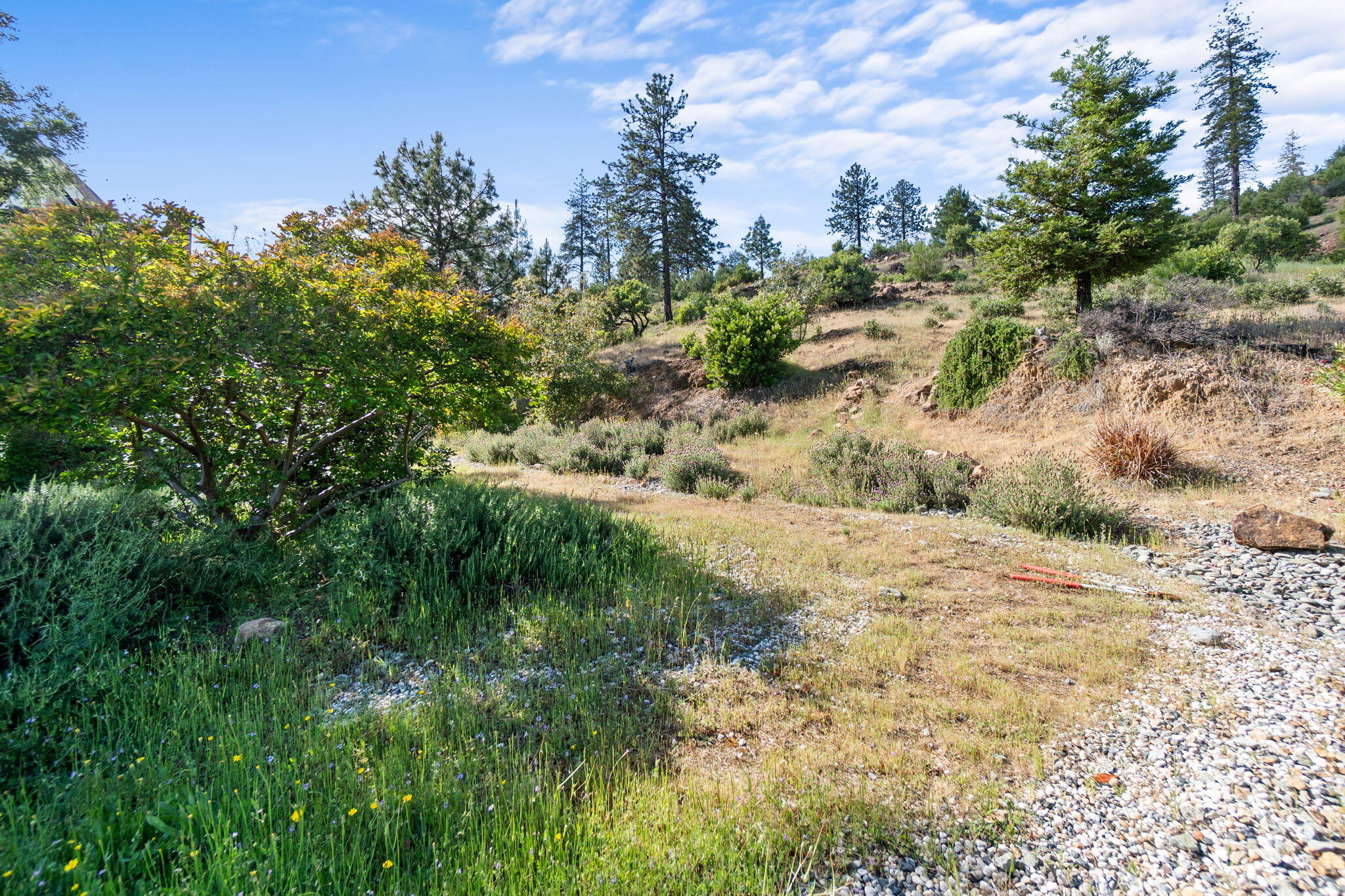 15754 Rock Creek Road Redding, CA 96001 - Photo 56 of 64 63-web-or-mls-BiggerFlow Real Estate Med