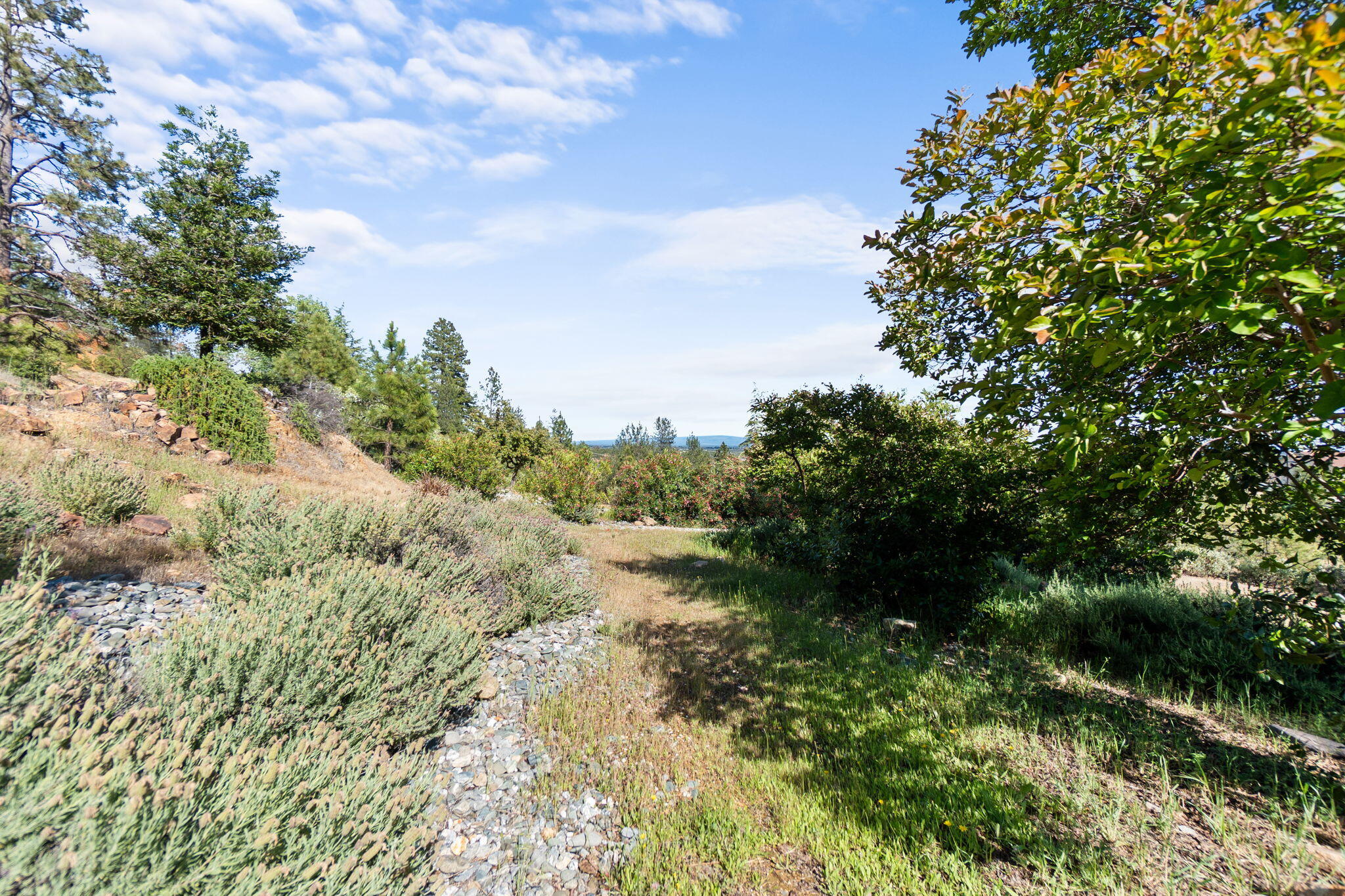 15754 Rock Creek Road Redding, CA 96001 - Photo 57 of 64 64-web-or-mls-BiggerFlow Real Estate Med