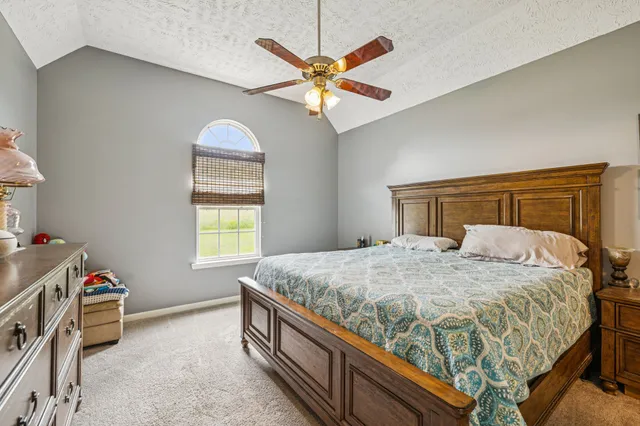 a view of a forest with trees