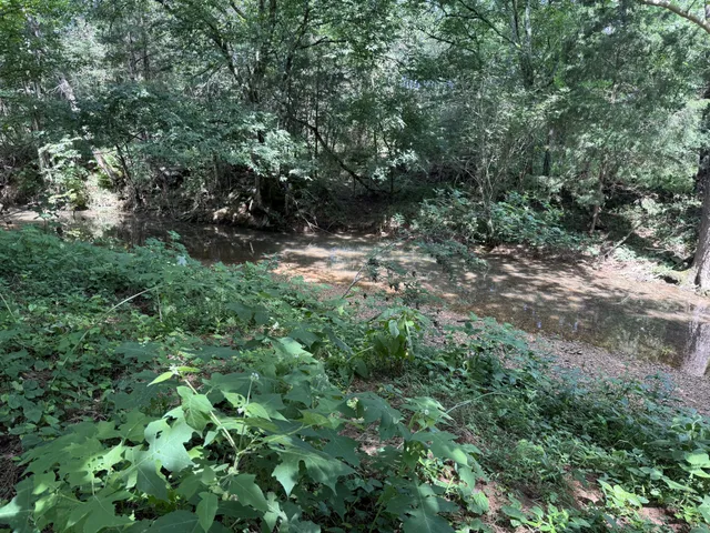 $549,000 | 6658 Dug Hollow Road, Bradyville, TN 37026