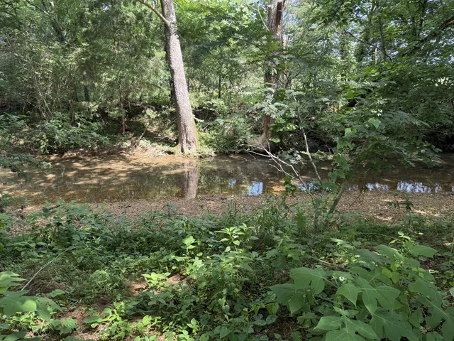 $549,000 | 6658 Dug Hollow Road, Bradyville, TN 37026