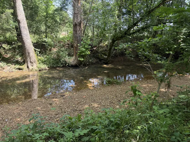 $549,000 | 6658 Dug Hollow Road, Bradyville, TN 37026