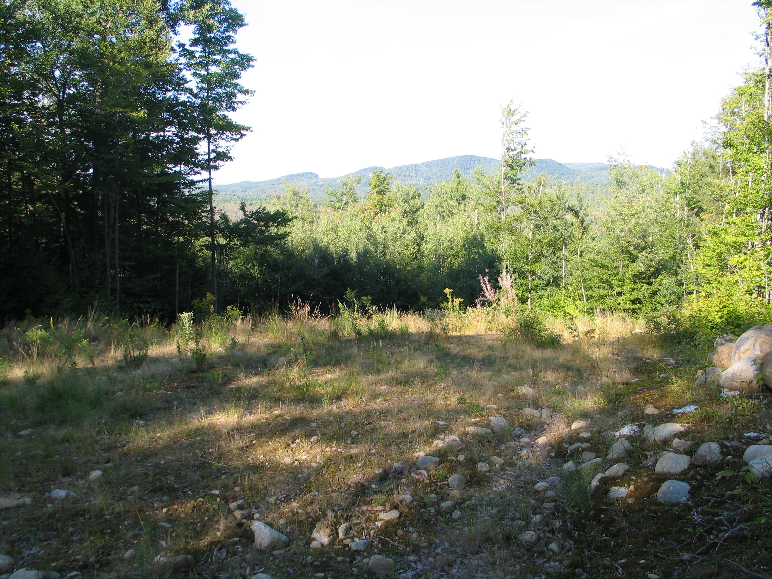 Lot 13 Ridge Road Bethel, ME 04217 - Photo 1 of 4 IMG_0953