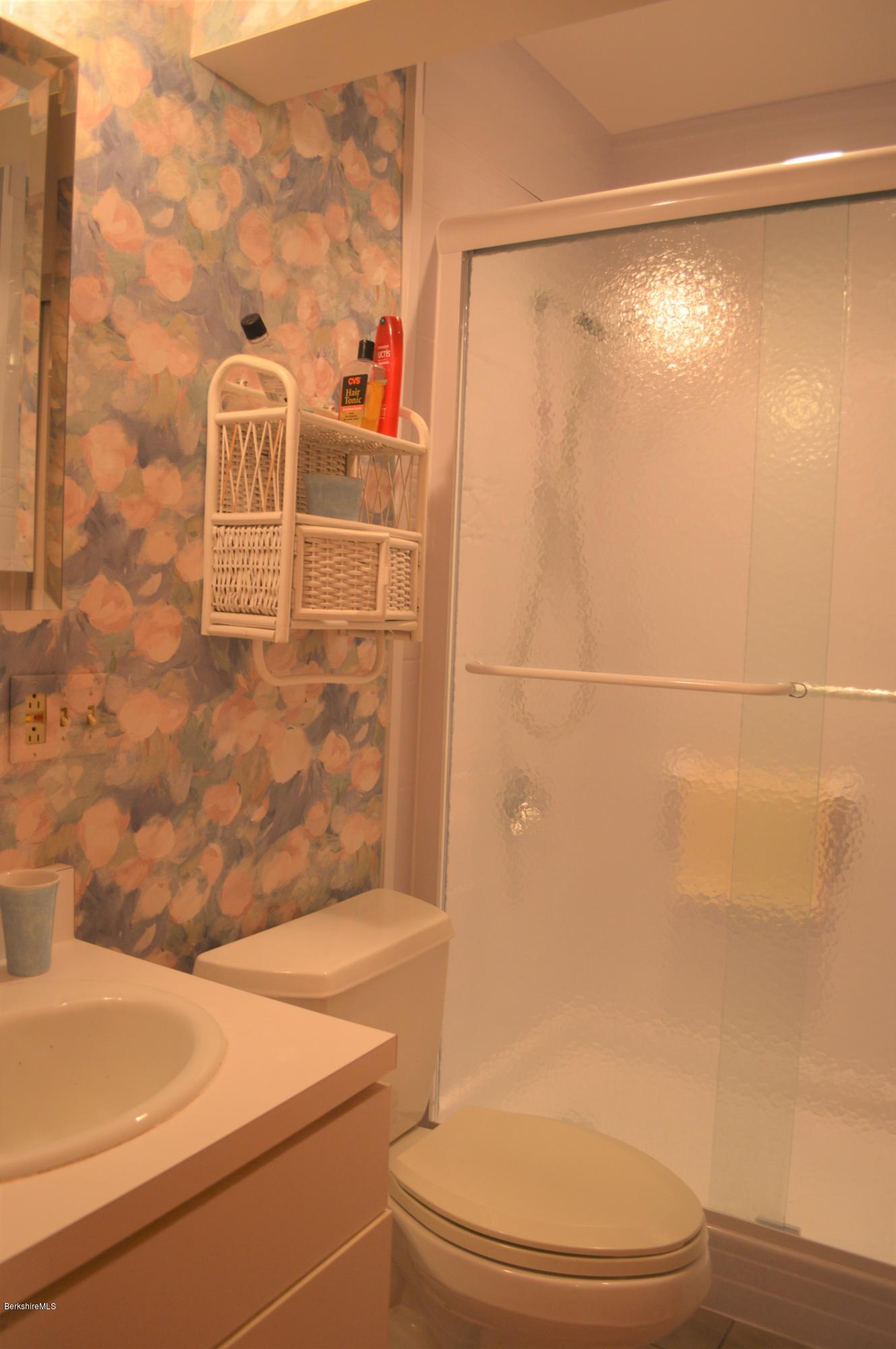200 Old Stockbridge Road, Unit S4 Lenox, MA 01240 - Photo 11 of 19 master bath