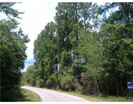 Henry Hartley Road Saucier, MS 39574 - Photo 3 of 4 Additional Photo