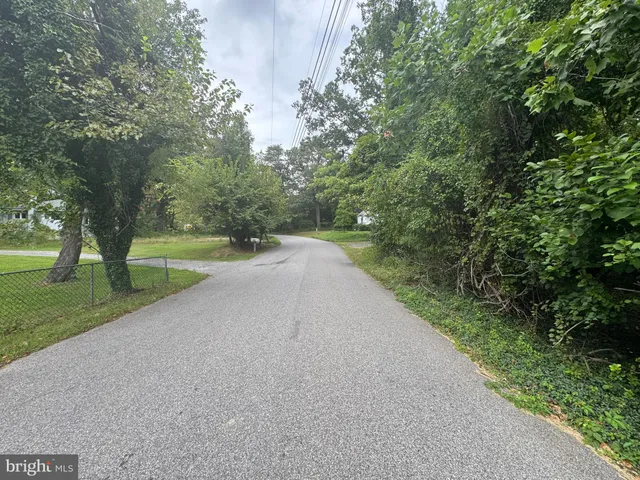 a view of a road with a yard and a large tree